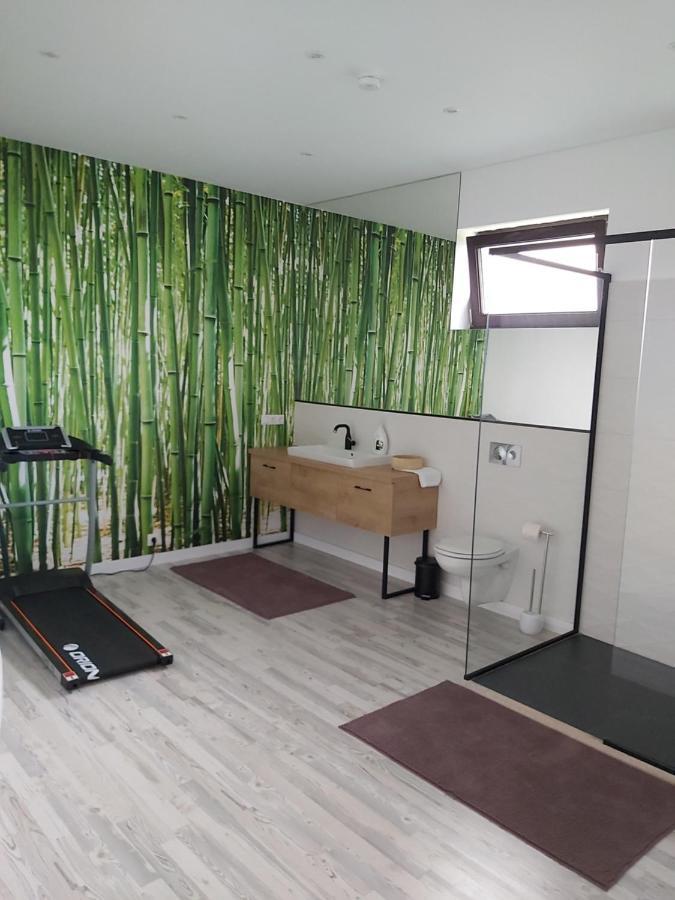 Apartament Accent House Deva Zewnętrze zdjęcie